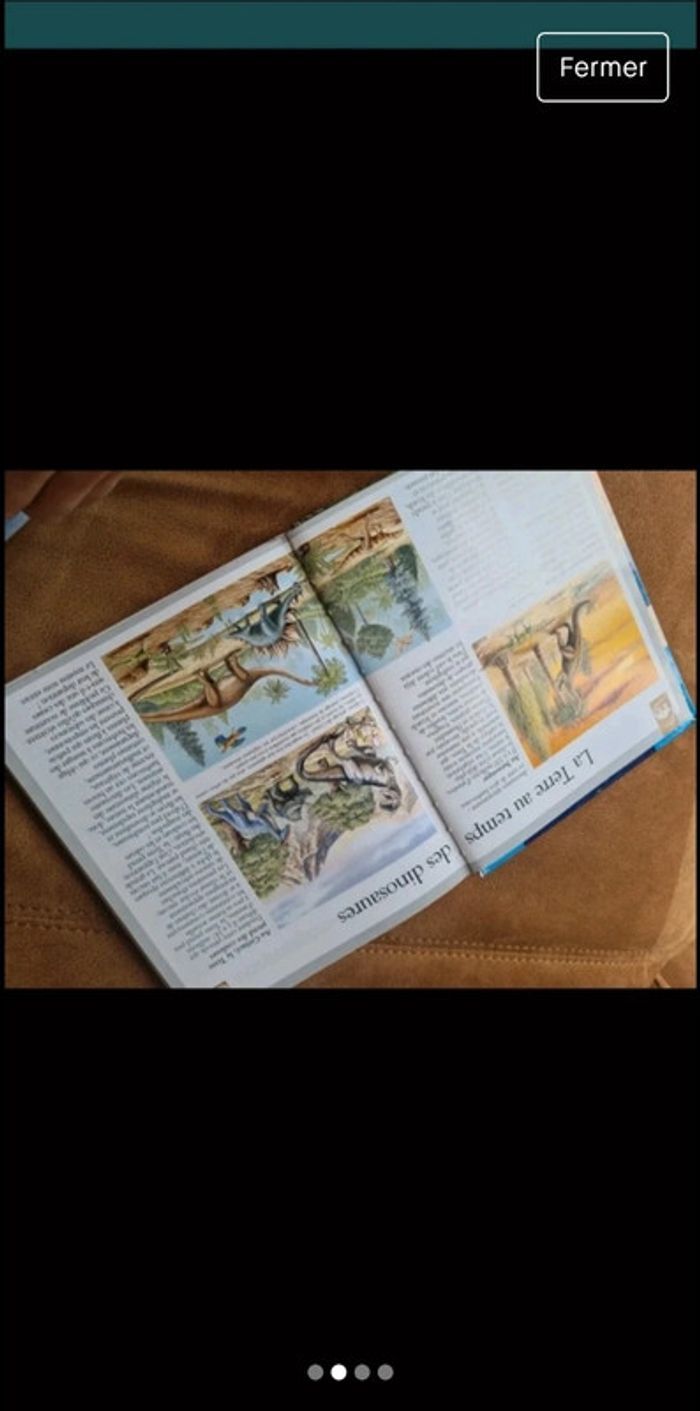 Les dinosaures - photo numéro 2
