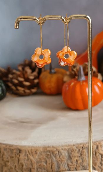 Jolies boucles acier inoxydable et céramique
