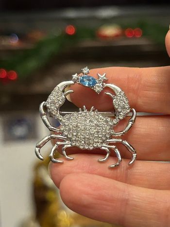 Broche, crabe, signe zodiacal