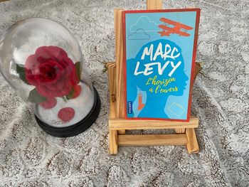 Livre l’horizon à l’envers de Marc Levy