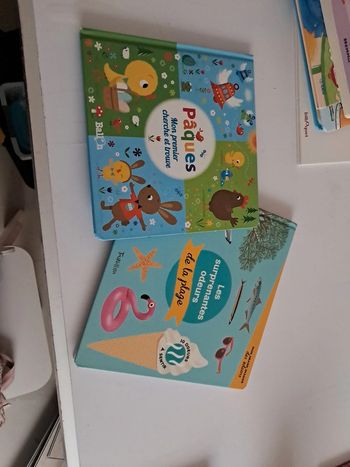 Lot 2 livres imagier et cherche et trouve