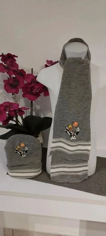 Ensemble écharpe, bonnet gris Titi et gros Minet