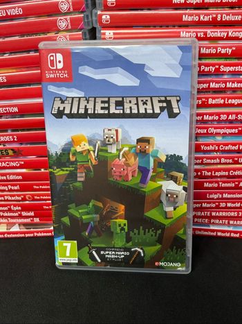 Minecraft switch
