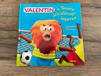 Livre Valentin le tamarin