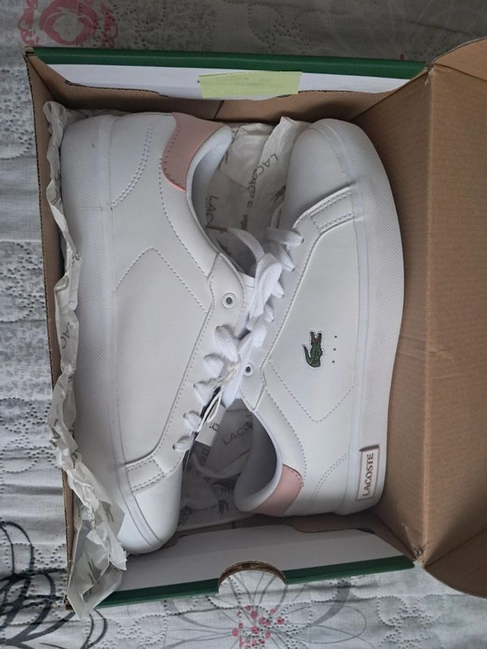 Basket neuve lacoste 37,5 - photo numéro 3