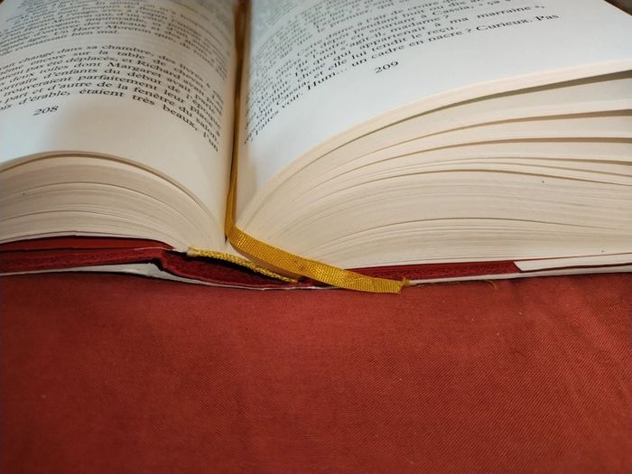 Livre la fortune de cassia - photo numéro 2