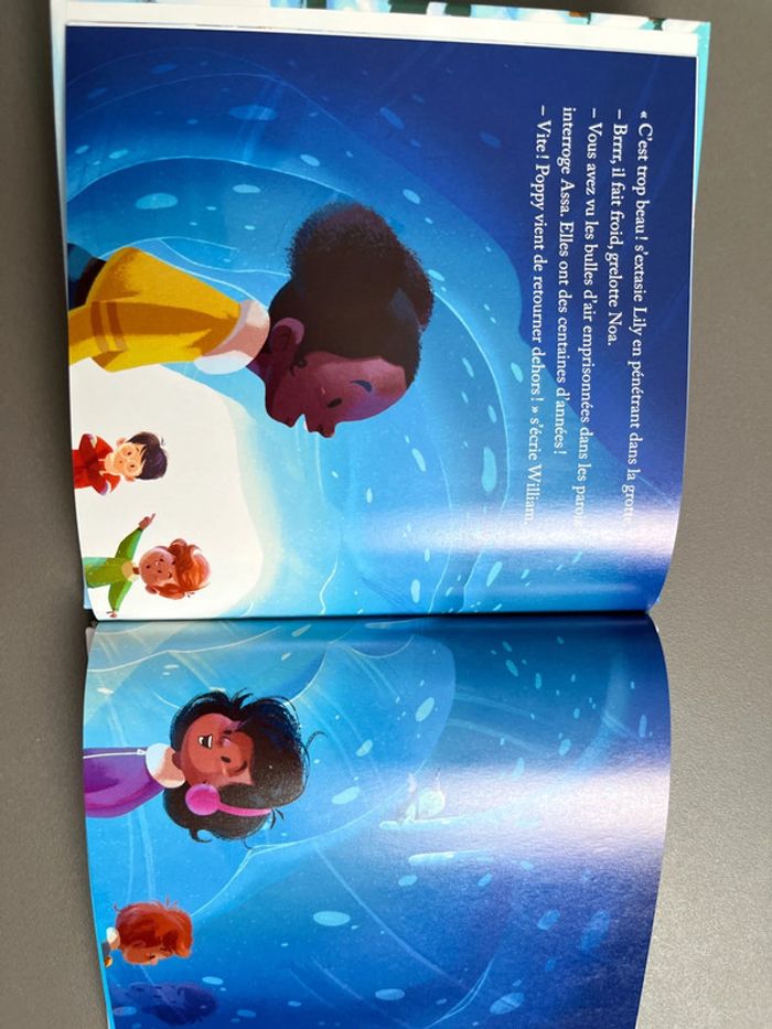 Livre le husky du mont blanc - photo numéro 3