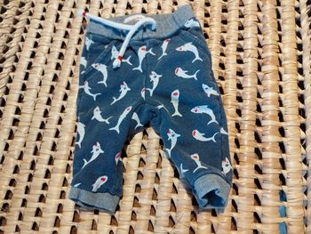 Pantalon 3 mois catimini