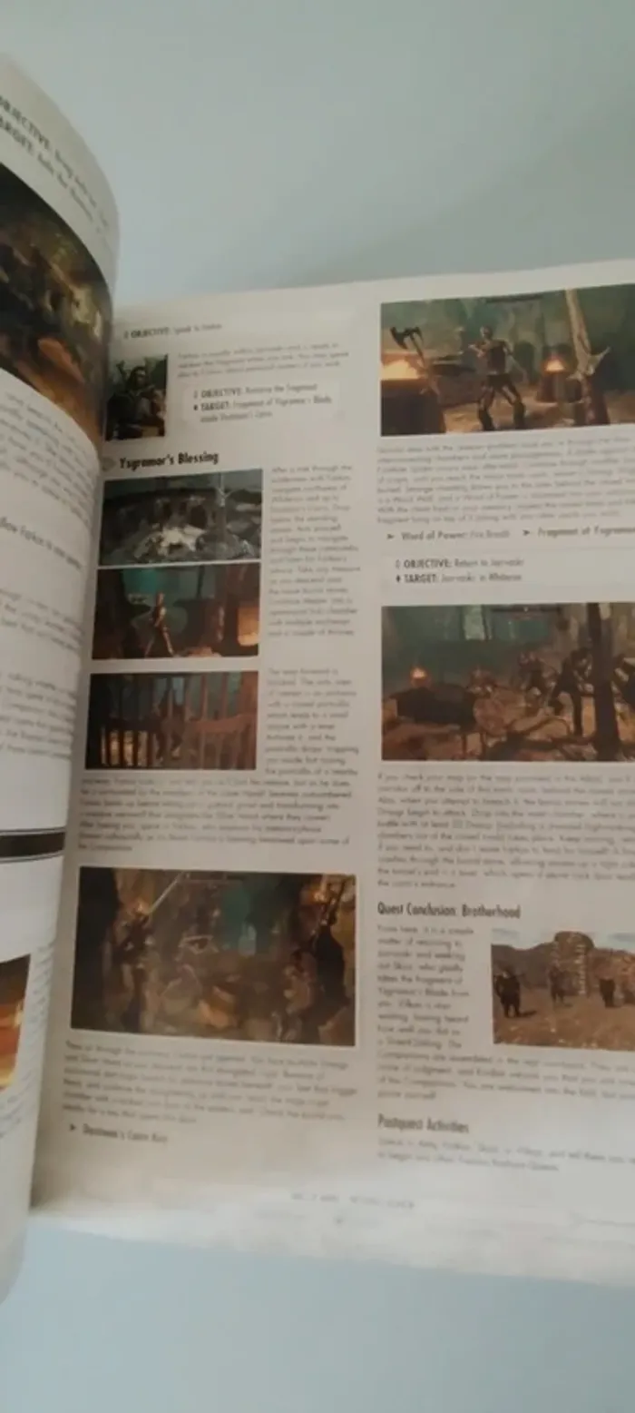 Skyrim. The Elder Scrolls V. - photo numéro 4