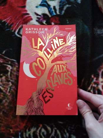 Livre la colline aux esclaves
