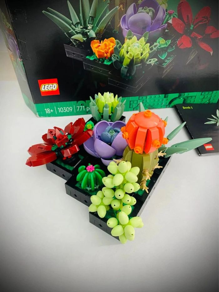 LEGO Icons 10309 - Les Succulents - Complet avec Boîte - photo numéro 8