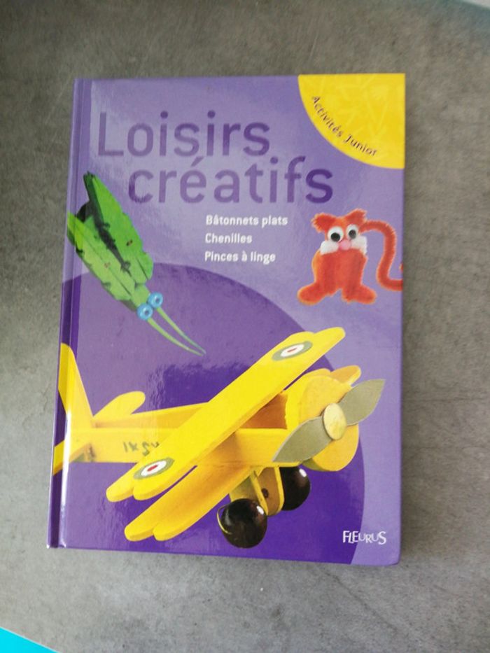 Loisir créatifs bâtonnets plat chenilles pinces à linge