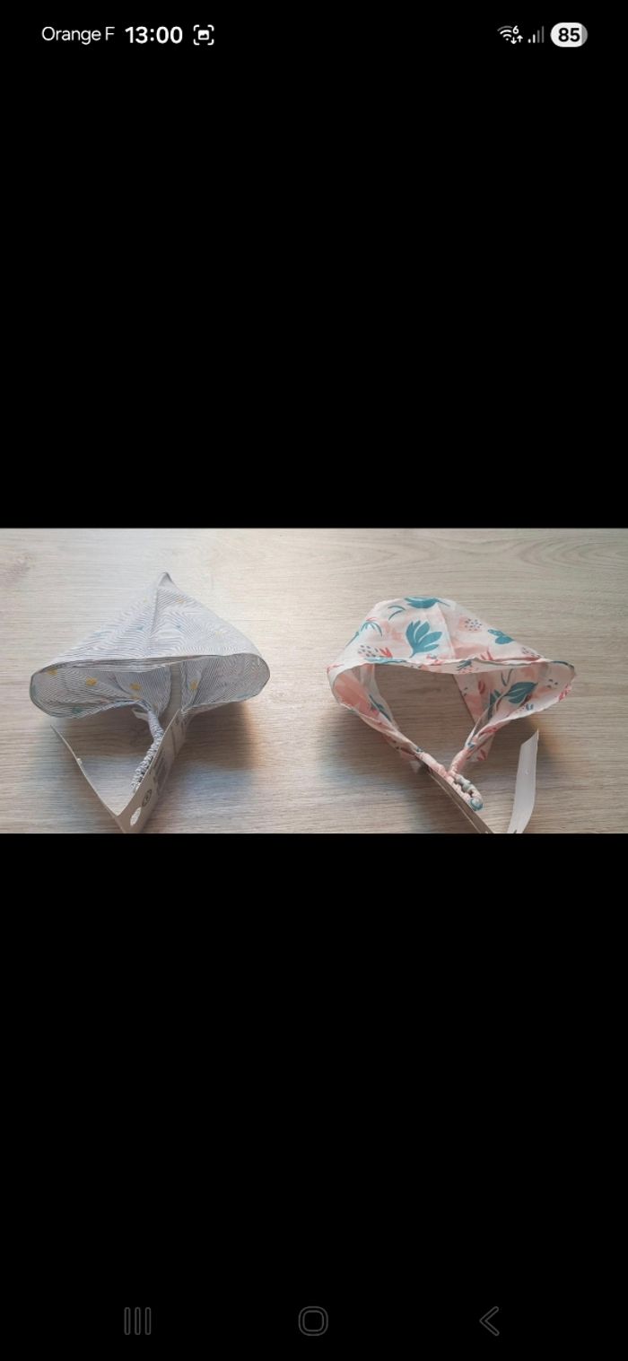 Fichus - photo numéro 4