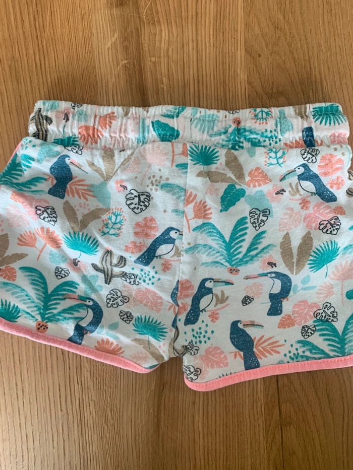 Short perroquet orchestra - photo numéro 3