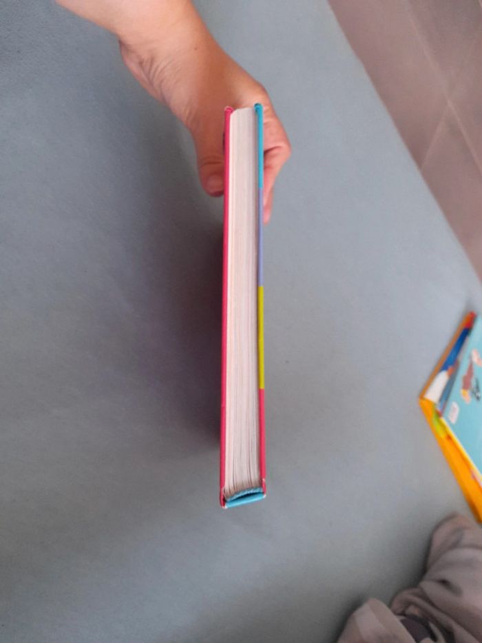 Livres mes histoires de loup - photo numéro 5