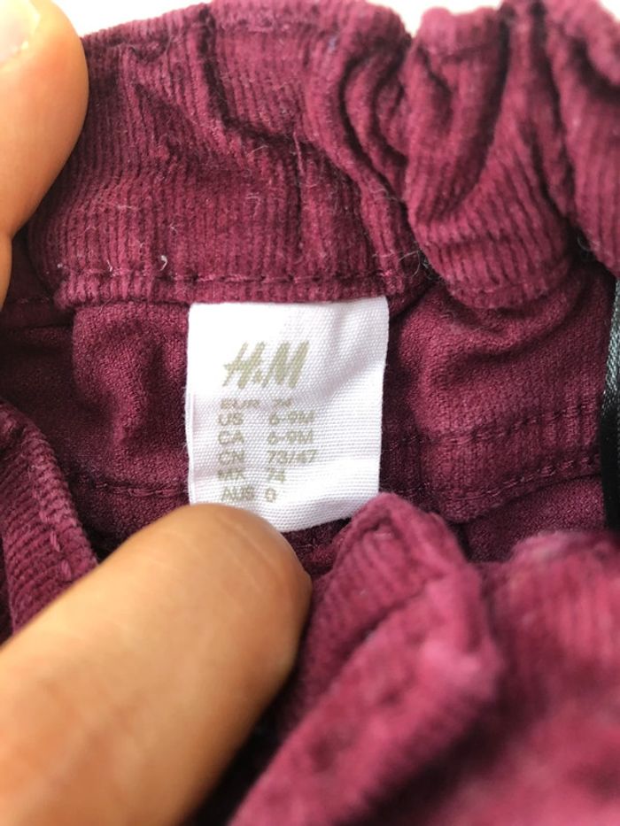 Pantalon velours - photo numéro 3