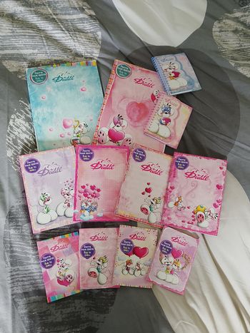 Collection complète 12 blocs Diddl de l'édition coeur bloc A4 A5 et a6 avec 2 carnets spirales neufs