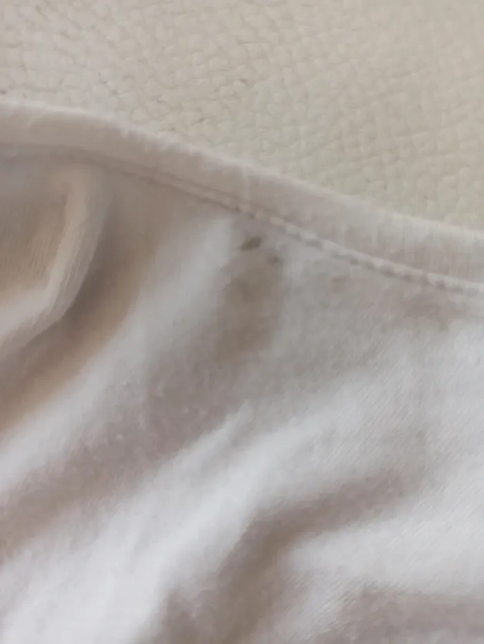 T-shirt manches courtes Zara - photo numéro 3