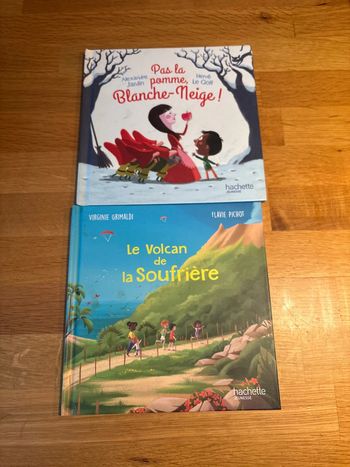 Lot 2 livres McDonald’s