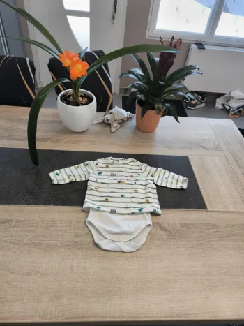 Bodie tee-shirt ml 2 en 1 garçon 6 mois sergent major