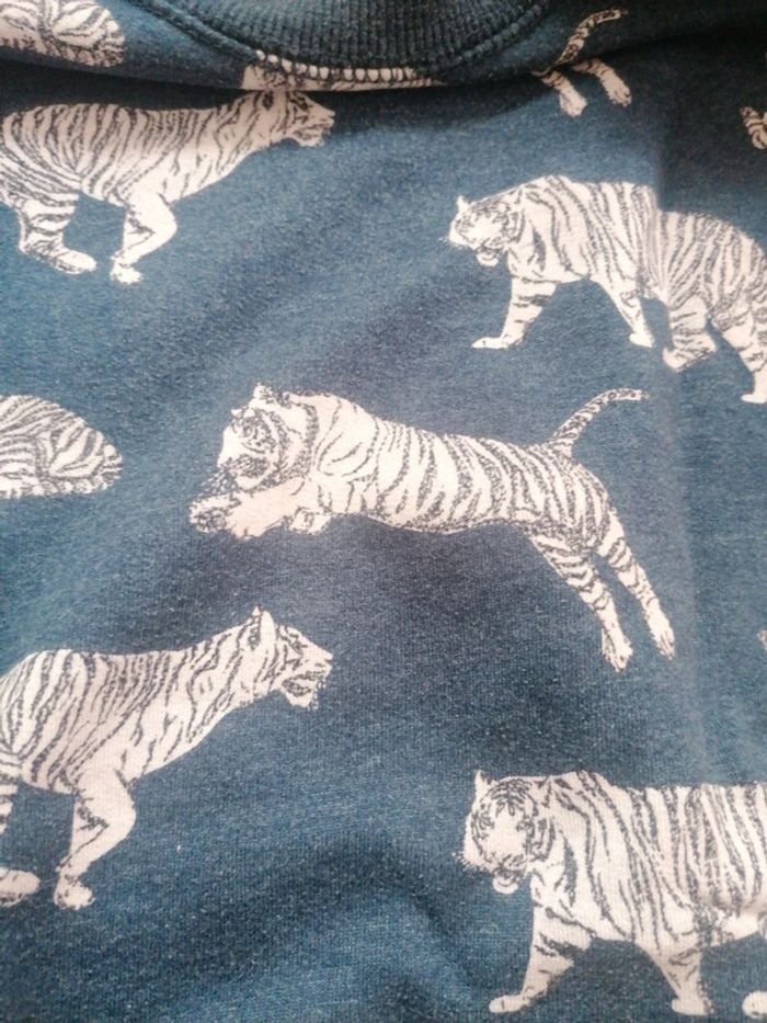 Pull zara 10 ans garçon tigre - photo numéro 4