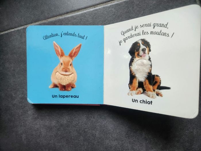 Les bébés de la ferme - photo numéro 5