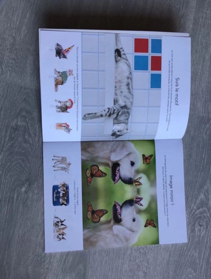 Joue et apprends avec d’adorables animaux - photo numéro 2