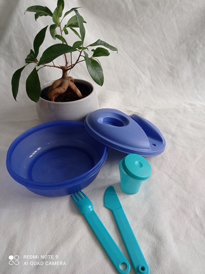 Boite à salade tupperware