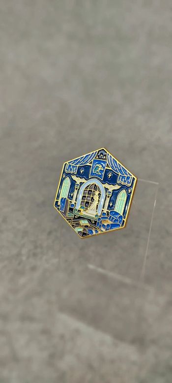 🍄 pin's hexagonal Serdaigle