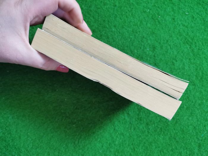 Lot de 2 livres de poche Mary Higgins Clark - photo numéro 9