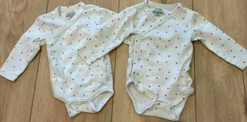 Lot 2 bodies
