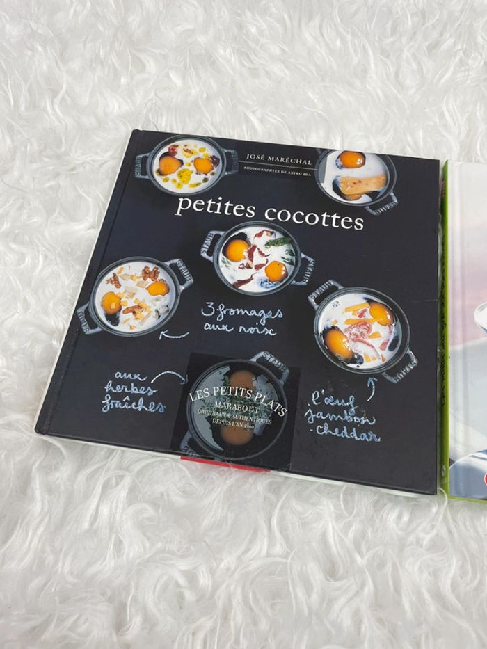 2 livres de recettes petites cocottes - photo numéro 3