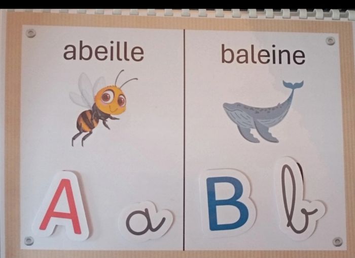 Lot de 3 livrets au choix - photo numéro 3