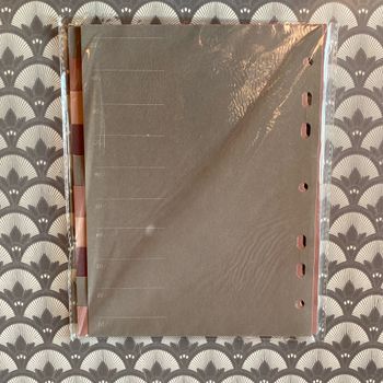 Lot de 10 intercalaires cartonnés petit classeur