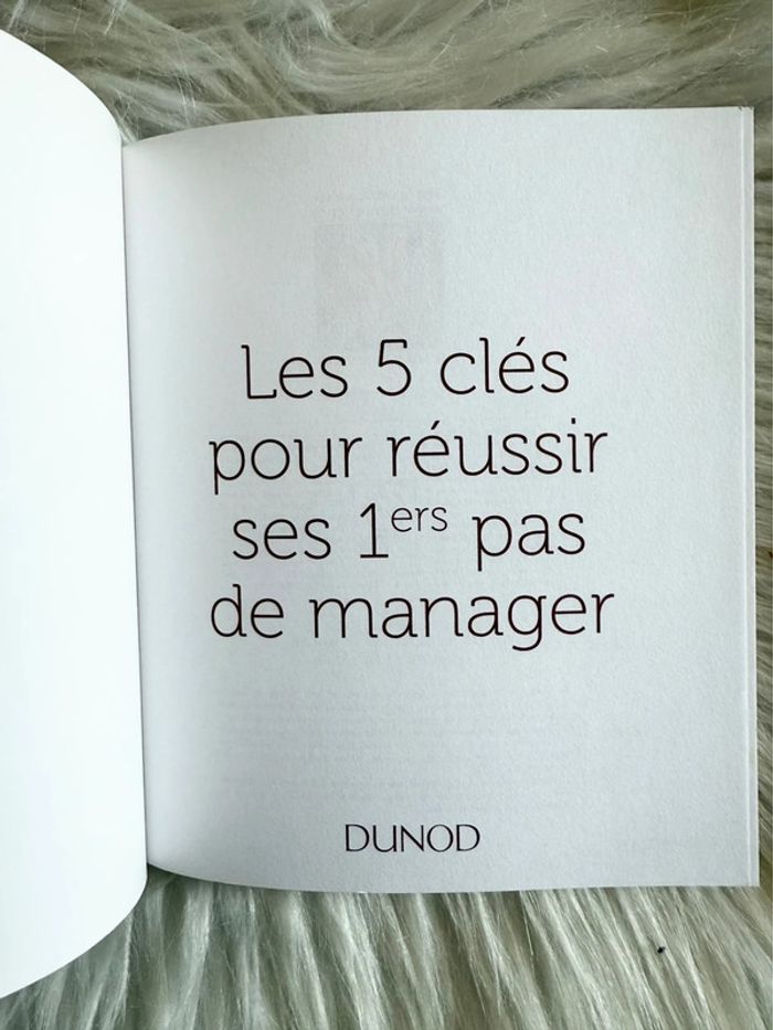Les 5 clés pour réussir ses 1ers pas de manager – Vincent Dicecca – Dunod - photo numéro 3