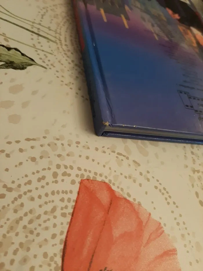 Gros livre disney le bossu de notre dame - photo numéro 7