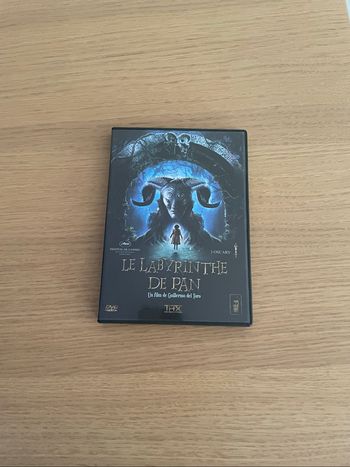 🌟 LABYRINTHE PAN