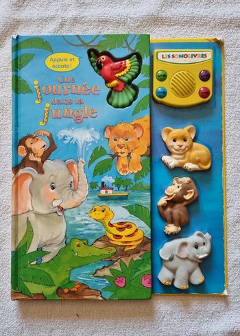 Livre une journée dans la jungle sonore