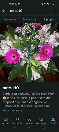 profil
