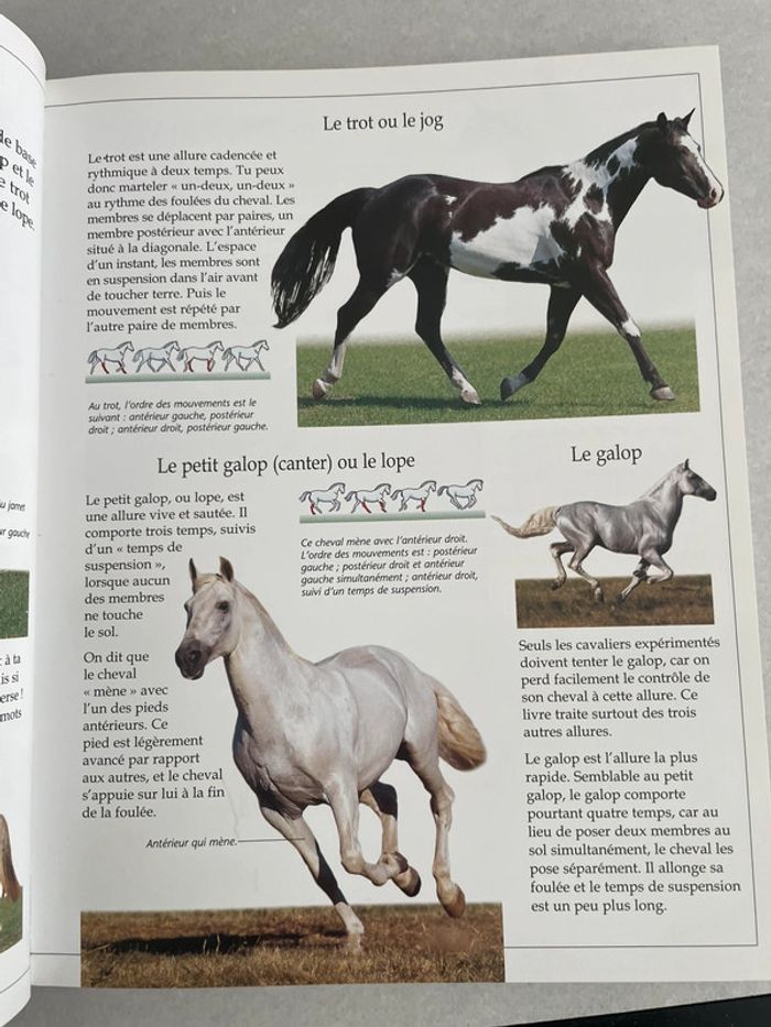 Le Grand Livre Du Cheval Et De L'Equitation - photo numéro 2