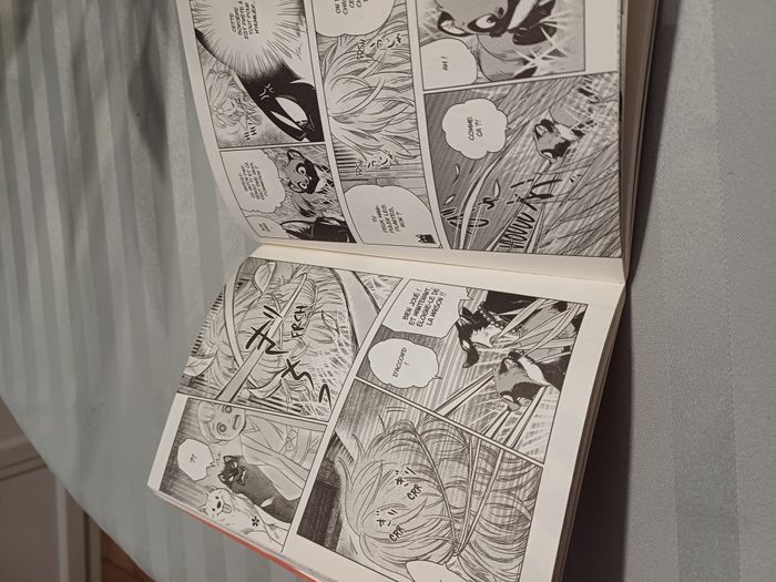 manga : Le renard et le petit Tanuki - photo numéro 3