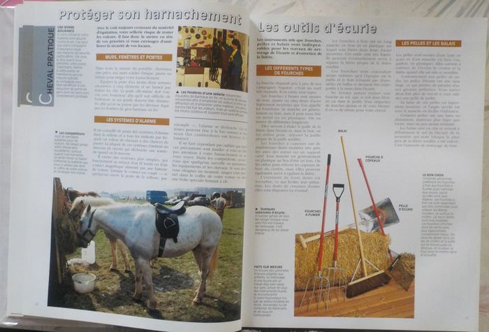 Le grand atlas du cheval Ed. Atlas - photo numéro 8