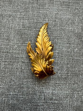 Broche clip