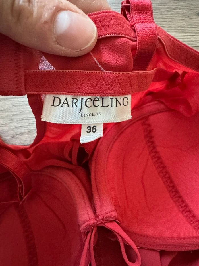 Nuisette darjeeling 36 - photo numéro 6