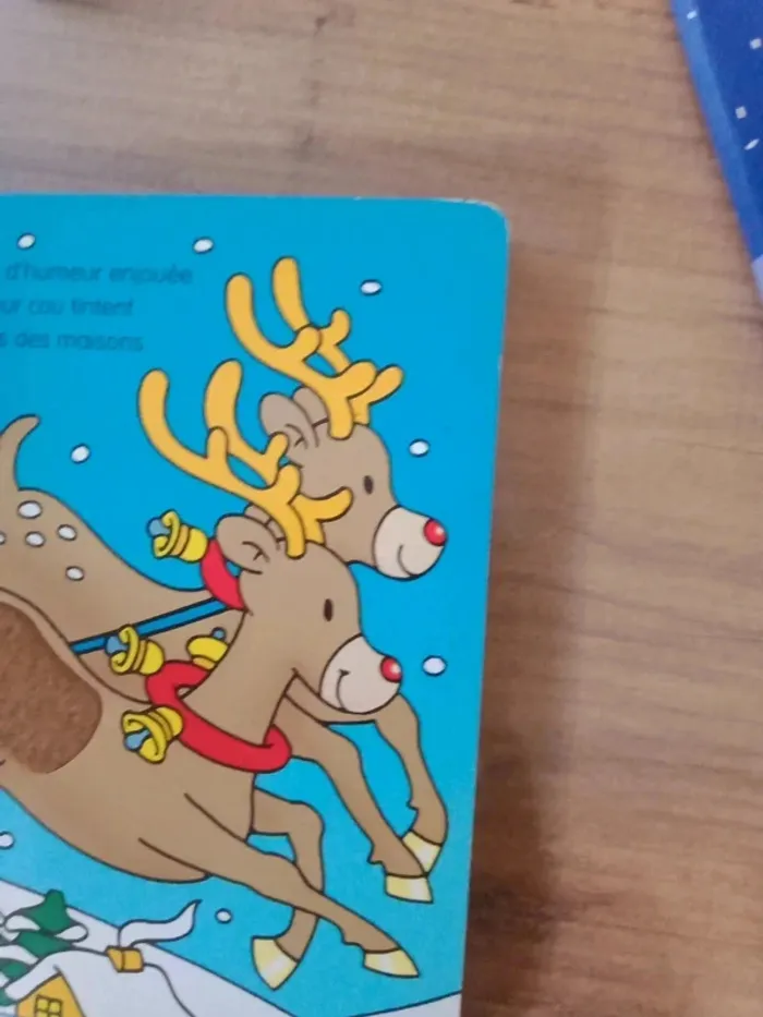 Livre de Noël - photo numéro 17