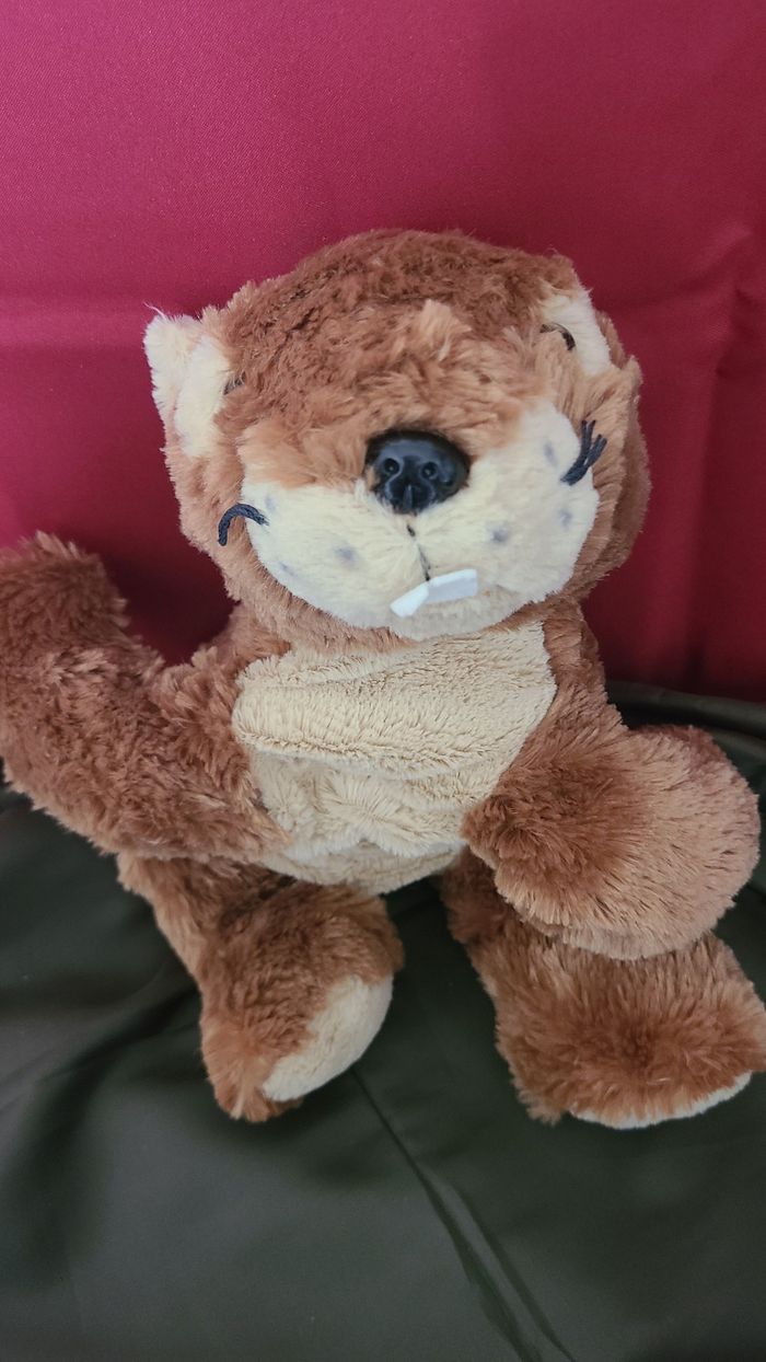 doudou marmotte PACO diffusion sart - photo numéro 3