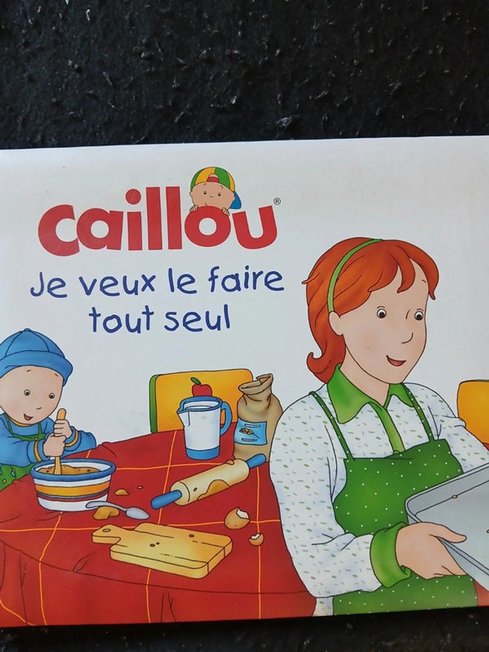 Lot de 2 livres enfant caillou - photo numéro 2