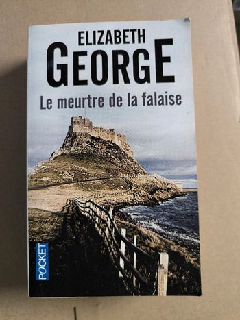 Le meurtre de la falaise