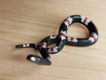 Figurine serpent noir, rouge et blanc Animal de la savane