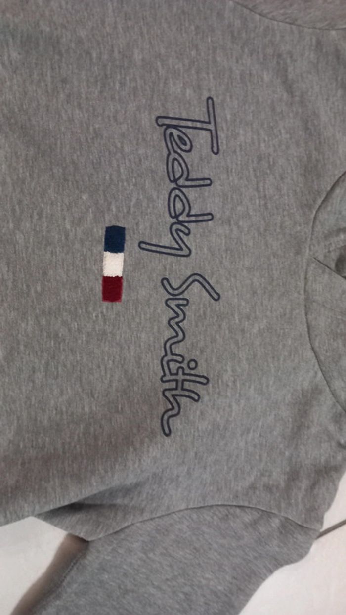 Pull gris teddy smith à capuche s - photo numéro 2